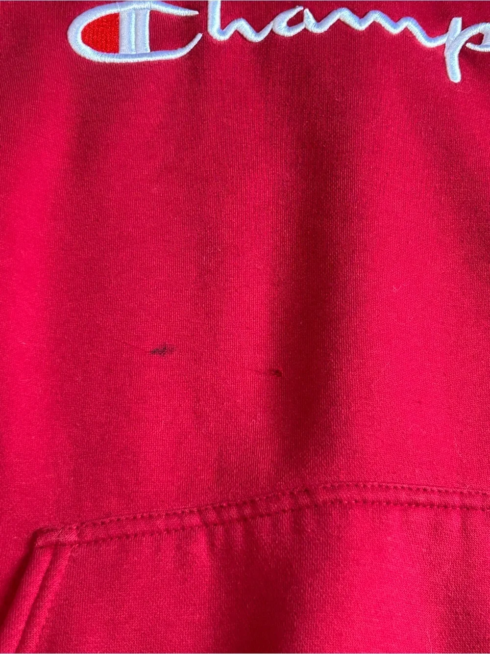 Vintage Champion Spellout Hoodie Red Distressed Y2K Large